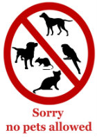 No pets sign copy(copy)